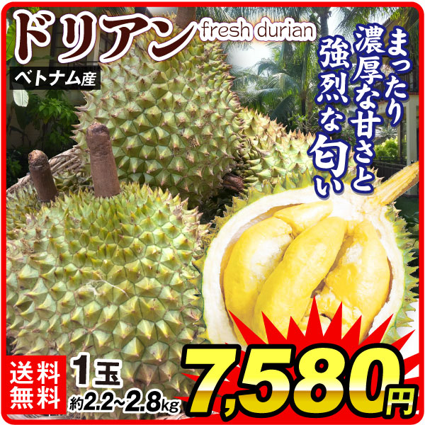 ドリアン 1玉 生ドリアン ベトナム産 2.2〜2.8kg前後 榴蓮 猫山王 モントン 果物の王様 送料無料 食品