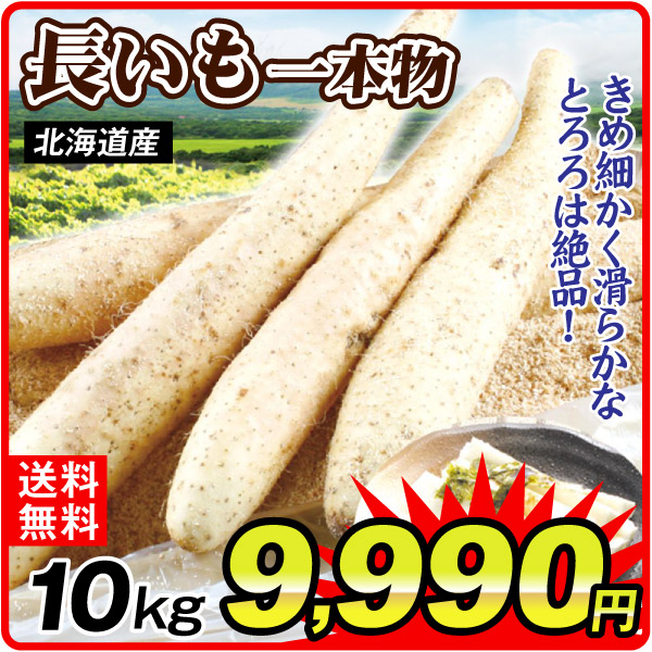 長いも 10kg 長いも・一本物 北海道産 送料無料 食品