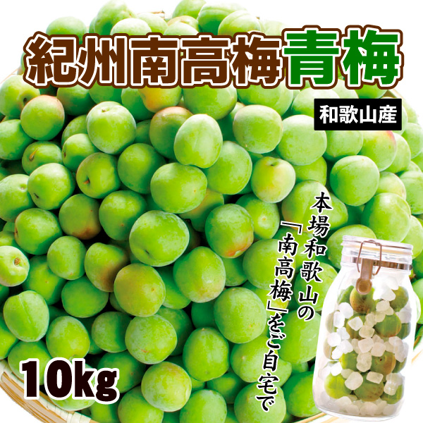 梅 10kg 紀州南高梅【青梅】和歌山産 送料無料 食品