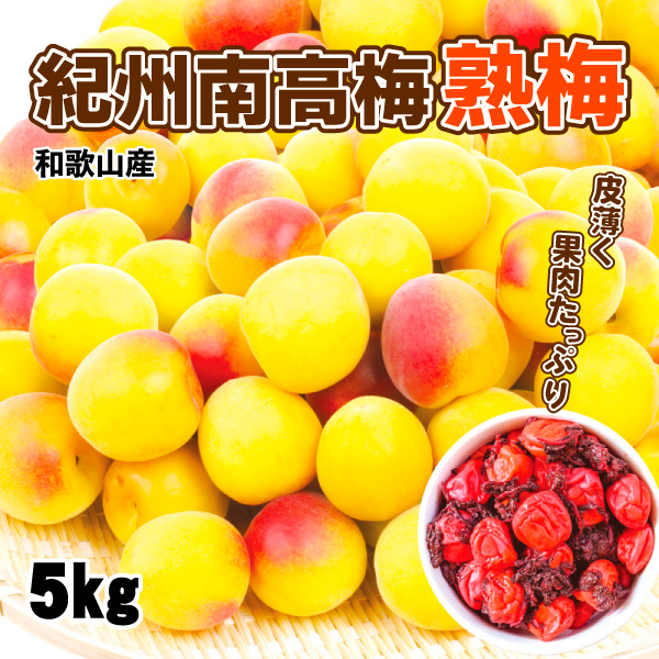 梅 5kg 紀州南高梅【熟梅】和歌山産 送料無料 食品