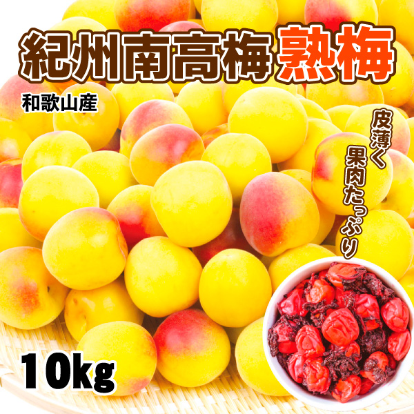 梅 10kg 紀州南高梅【熟梅】和歌山産 送料無料 食品