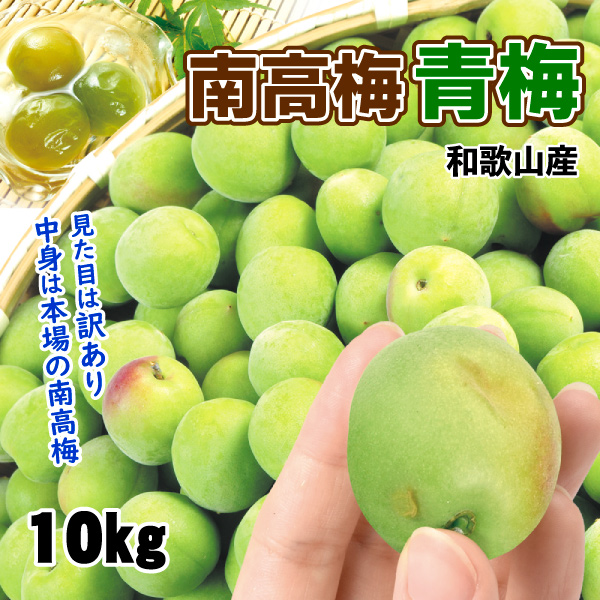 梅 10kg 南高梅【青梅】ご家庭用 和歌山産 送料無料 食品
