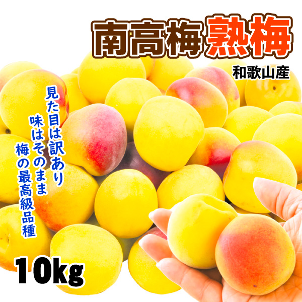 梅 10kg 南高梅【熟梅】ご家庭用 和歌山産 送料無料 食品