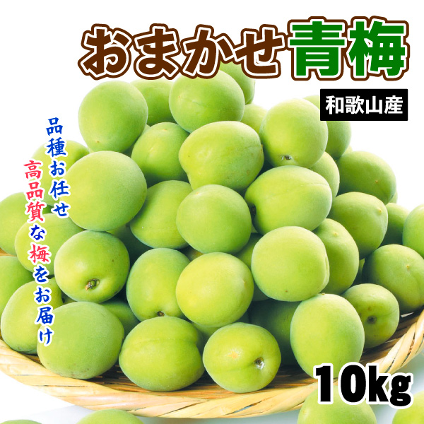 梅 10kg おまかせ青梅 ご家庭用 和歌山産 送料無料 食品