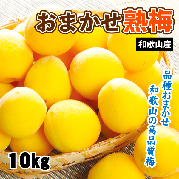 梅 10kg おまかせ熟梅 ご家庭用 和歌山産 送料無料 食品