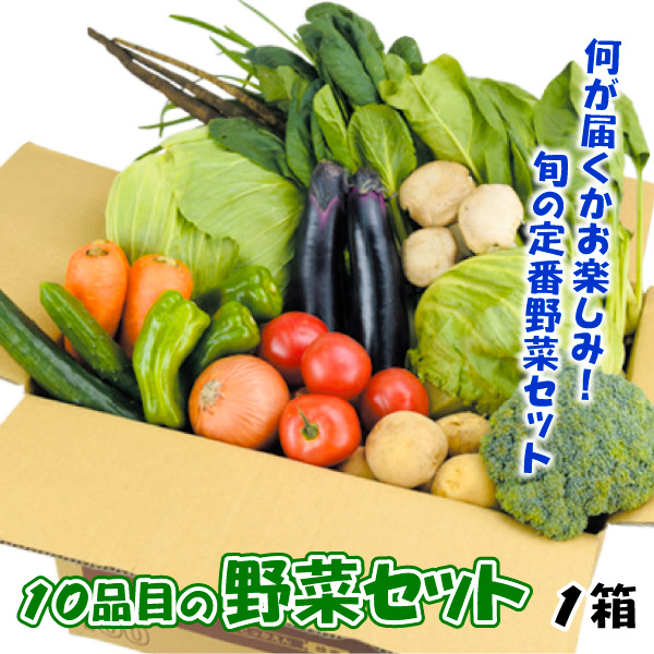 厳選！10品目の野菜セット 1箱 送料無料 食品