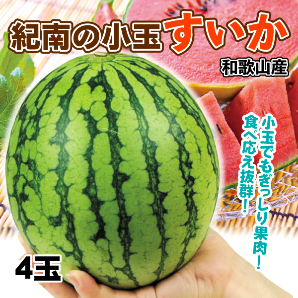 スイカ 4玉 紀南の小玉すいか 和歌山産 送料無料 食品