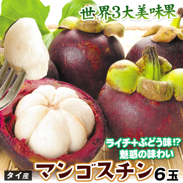 マンゴスチン 6玉 タイ産 ご家庭用 熱帯果実 莽吉柿 世界三大美果 トロピカルフルーツ 送料無料 食品