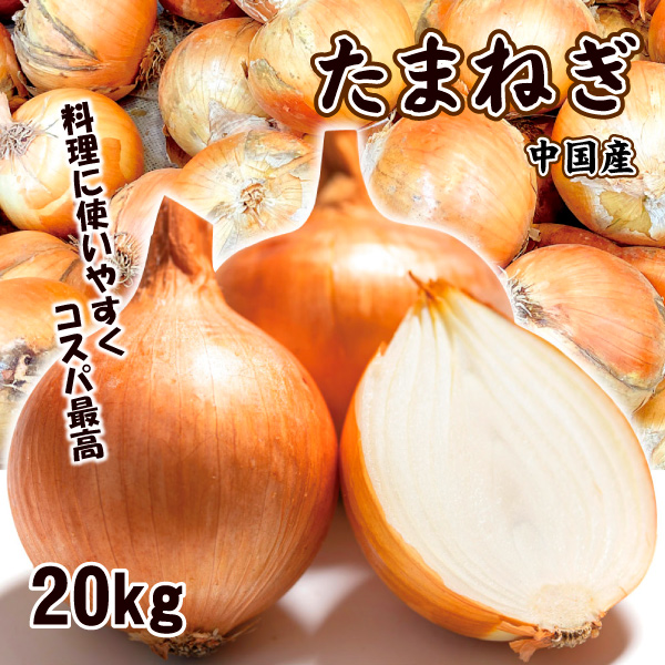 たまねぎ 20kg たまねぎ 中国産 送料無料 食品