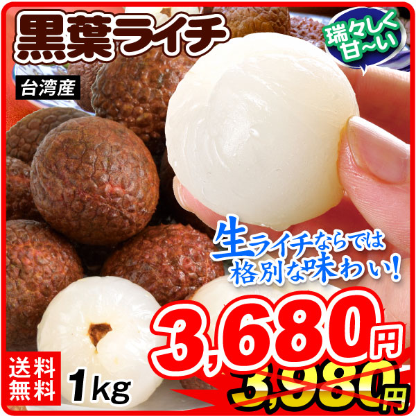 ライチ 1kg 生ライチ・黒葉 台湾産 くろば こくよう 生果 フレッシュライチ 茘枝 送料無料 冷蔵便 食品