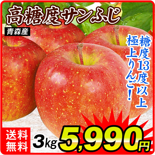 りんご 青森産 ギフト用 高糖度サンふじ 3ｋｇ 送料無料 食品