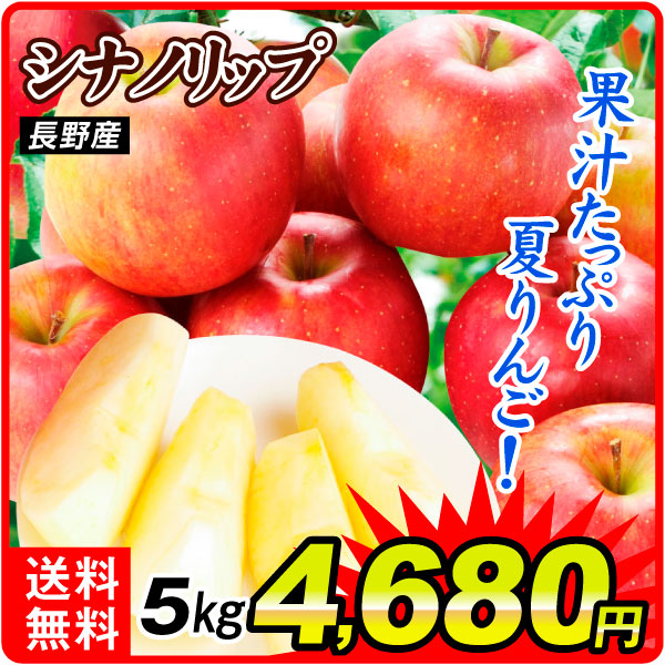 りんご 5kg ご家庭用 シナノリップ 長野産 送料無料 食品