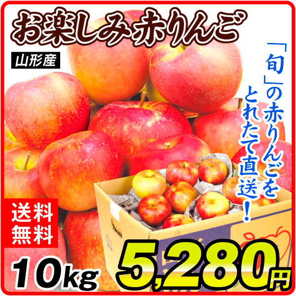 りんご 10kg お楽しみ赤りんご 山形産 送料無料 食品
