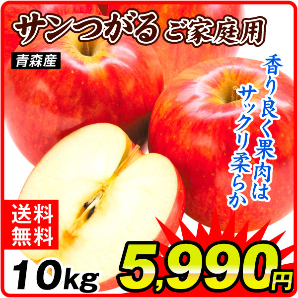 りんご 10kg ご家庭用 サンつがる 青森産 送料無料 食品