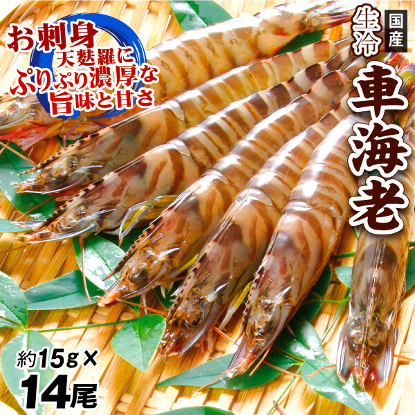 国産 生冷 車えび 14尾 生食用 プロトン凍結 えび天 冷凍便 食品