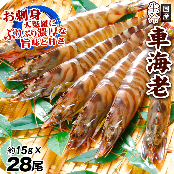 国産 生冷 車えび 14尾×2パック 生食用 プロトン凍結 えび天 冷凍便 食品