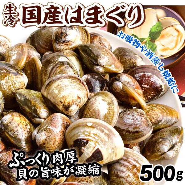 貝 国産 生冷 はまぐり 500g 千葉産 殻付き 注水パック冷凍 酒蒸し 冷凍便 食品