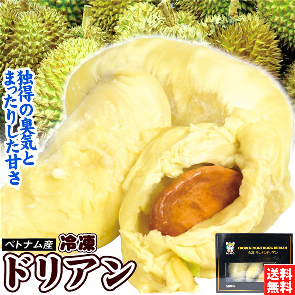 ベトナム産 冷凍ドリアン 500g 箱入り 冷凍便 送料無料 食品