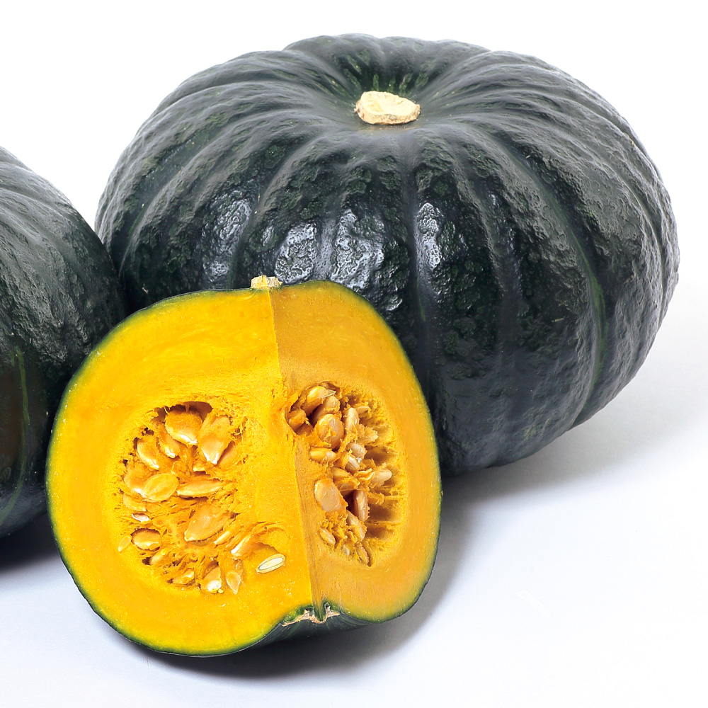 実生野菜苗 F1カボチャ ブラックのジョー