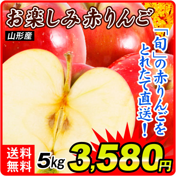 りんご 5kg お楽しみ赤りんご 山形産 送料無料 食品【11月下旬より出荷予定】