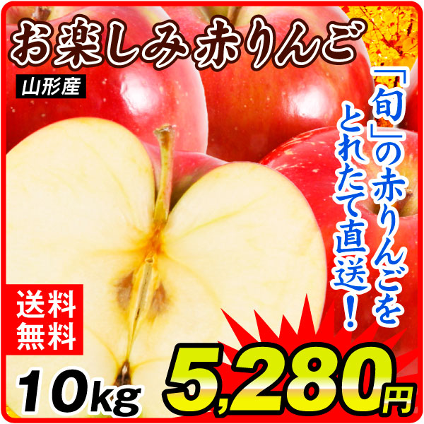 りんご 10kg お楽しみ赤りんご 山形産 送料無料 食品【11月下旬より出荷予定】