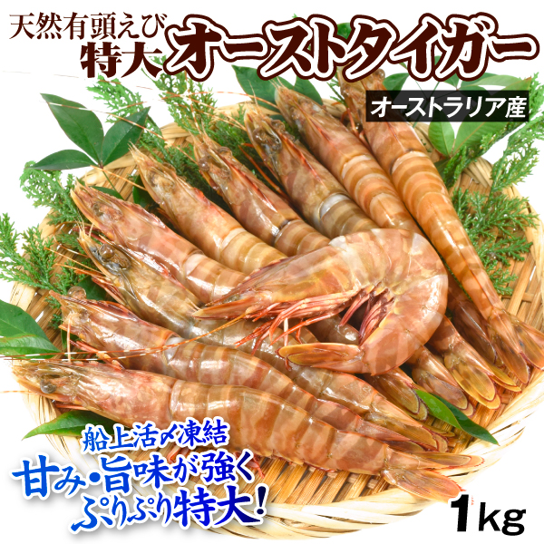 えび 1kg 天然 オーストタイガー海老 特大 有頭 オーストラリア産 天然 活〆 刺身用 ブラウンタイガー 送料無料 食品 冷凍便