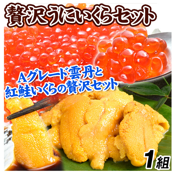 うにと紅鮭いくらセット 1組 いくら 紅鮭 (250g) うに Aグレード (100g) ミョウバン不使用 雲丹 生食用 送料無料 冷凍便