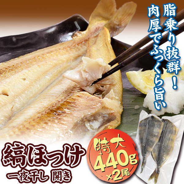 ホッケ 880g アメリカ産 特大シマホッケ開き 440g×2尾 縞ホッケ 特大 ホッケ開き 干物 食品 冷凍便