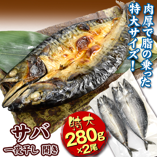 サバ 560g ノルウェー産 特大サバ開き 280g×2尾 さば サバ 特大 さば開き 干物 食品 冷凍便