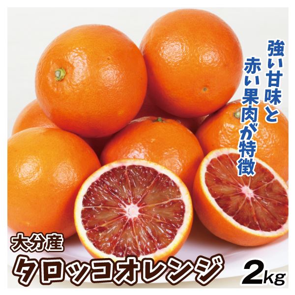 みかん 2kg タロッコオレンジ 大分産 柑橘 送料無料 食品 国華園