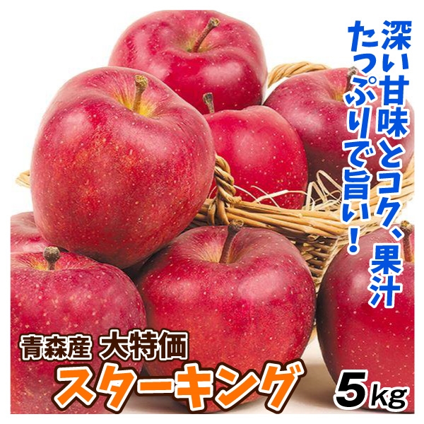 りんご 5kg 青森産 大特価 スターキング （12～28玉） 1箱 ご家庭用 送料無料 林檎 フルーツ食品 国華園