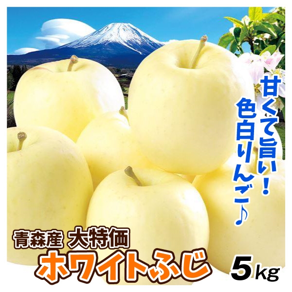 りんご 5kg 青森産 大特価 ホワイトふじ 1箱 ご家庭用 フルーツ 果物 林檎 送料無料 食品 国華園