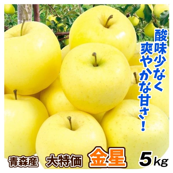 りんご 5kg 青森産 大特価 金星 （12～28玉） 1箱 ご家庭用 きんせい 希少品種 送料無料 食品 国華園