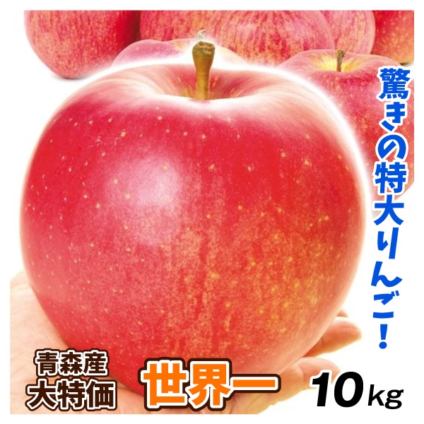 りんご 10kg 青森産 大特価 世界一 1箱 ご家庭用 送料無料 林檎 フルーツ 食品 国華園
