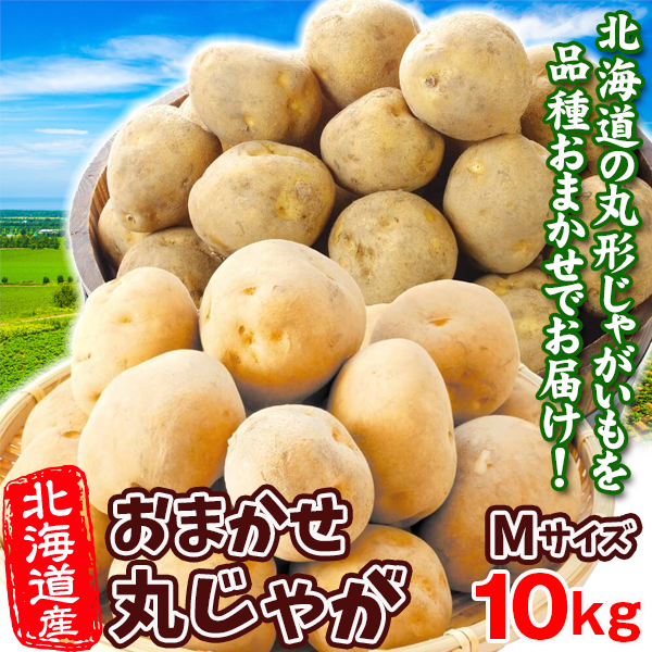 じゃがいも 丸じゃが 10kg 北海道産 品種おまかせ Mサイズ ばれいしょ 送料無料 食品