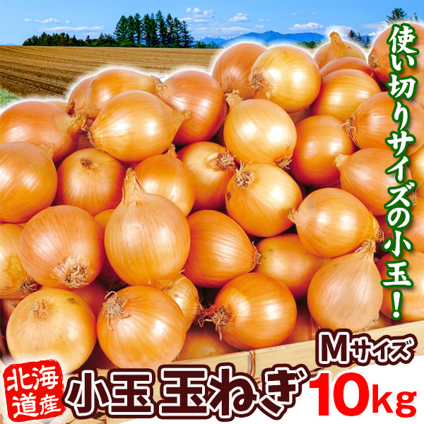 たまねぎ 北海道産 たまねぎ 10kg Mサイズ 玉葱 ご家庭用 野菜 国華園