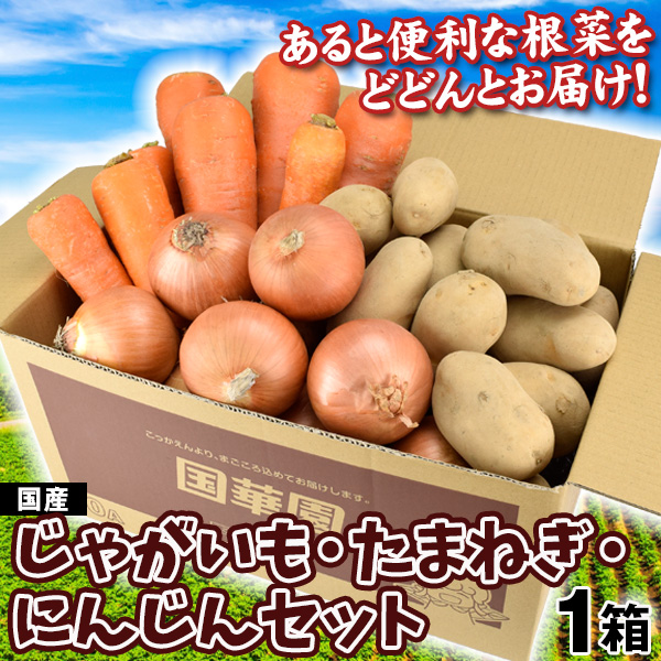 野菜セット じゃがいも2kg・たまねぎ2kg・にんじん1kgセット 根菜 詰め合わせ ご家庭用 送料無料 食品