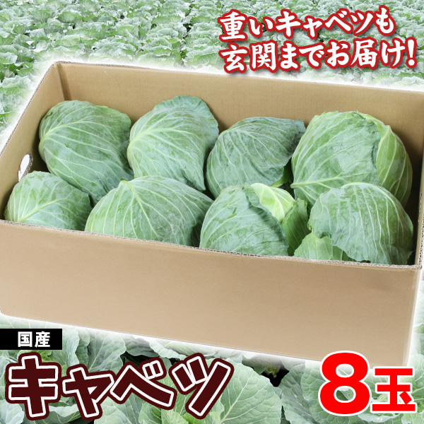 キャベツ 8玉 国産 野菜 まとめ買い 大容量 ご家庭用 送料無料 食品