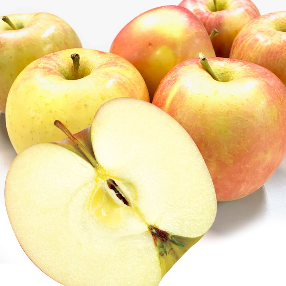 りんご 1.5kg 色むらサンふじ 青森産 送料無料 食品