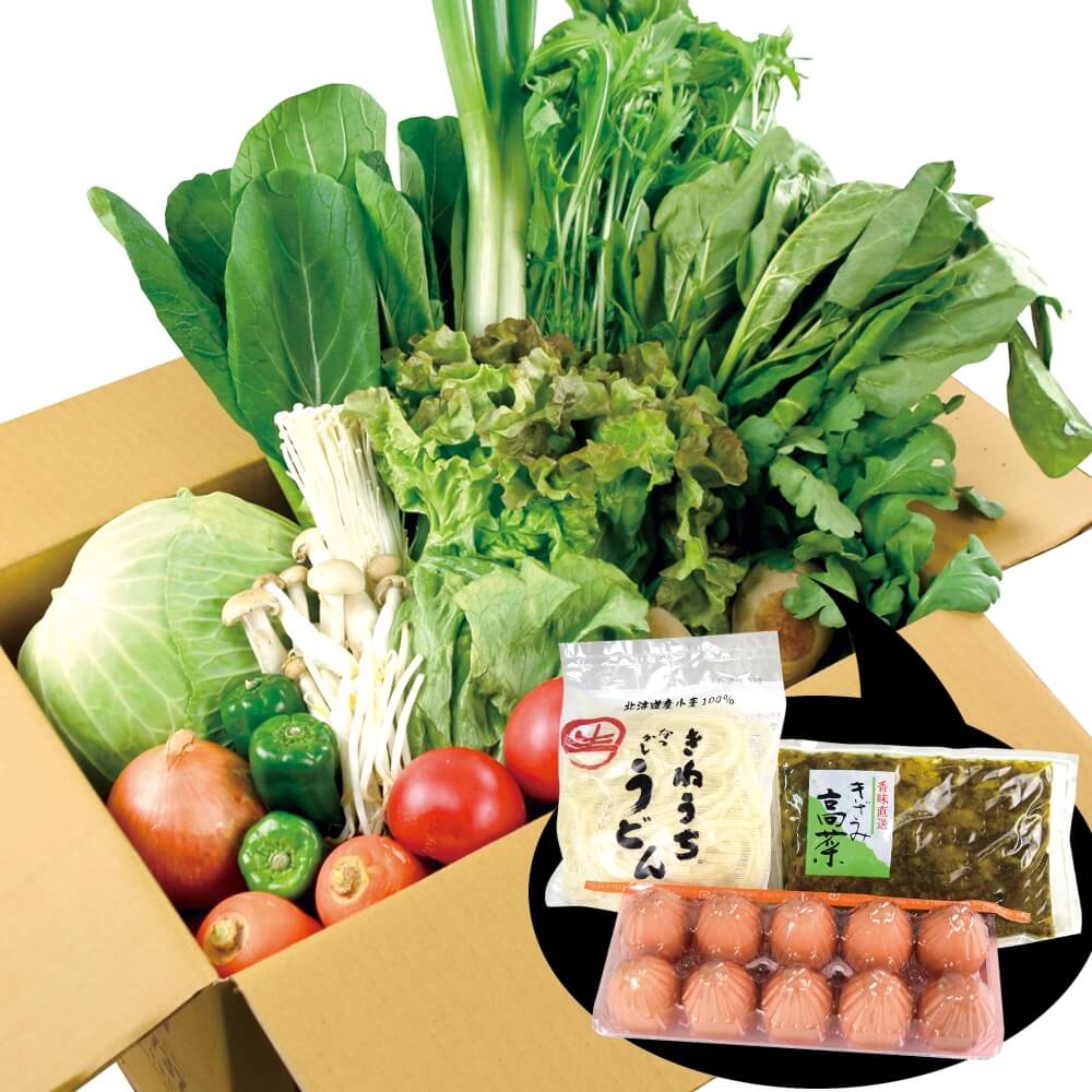 19品目のスペシャル野菜セット 1箱 送料無料 食品