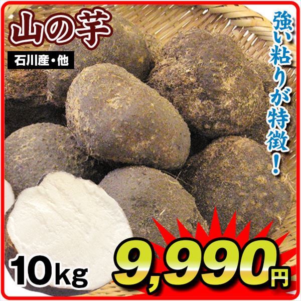 山の芋 10kg 石川産他 送料無料 食品