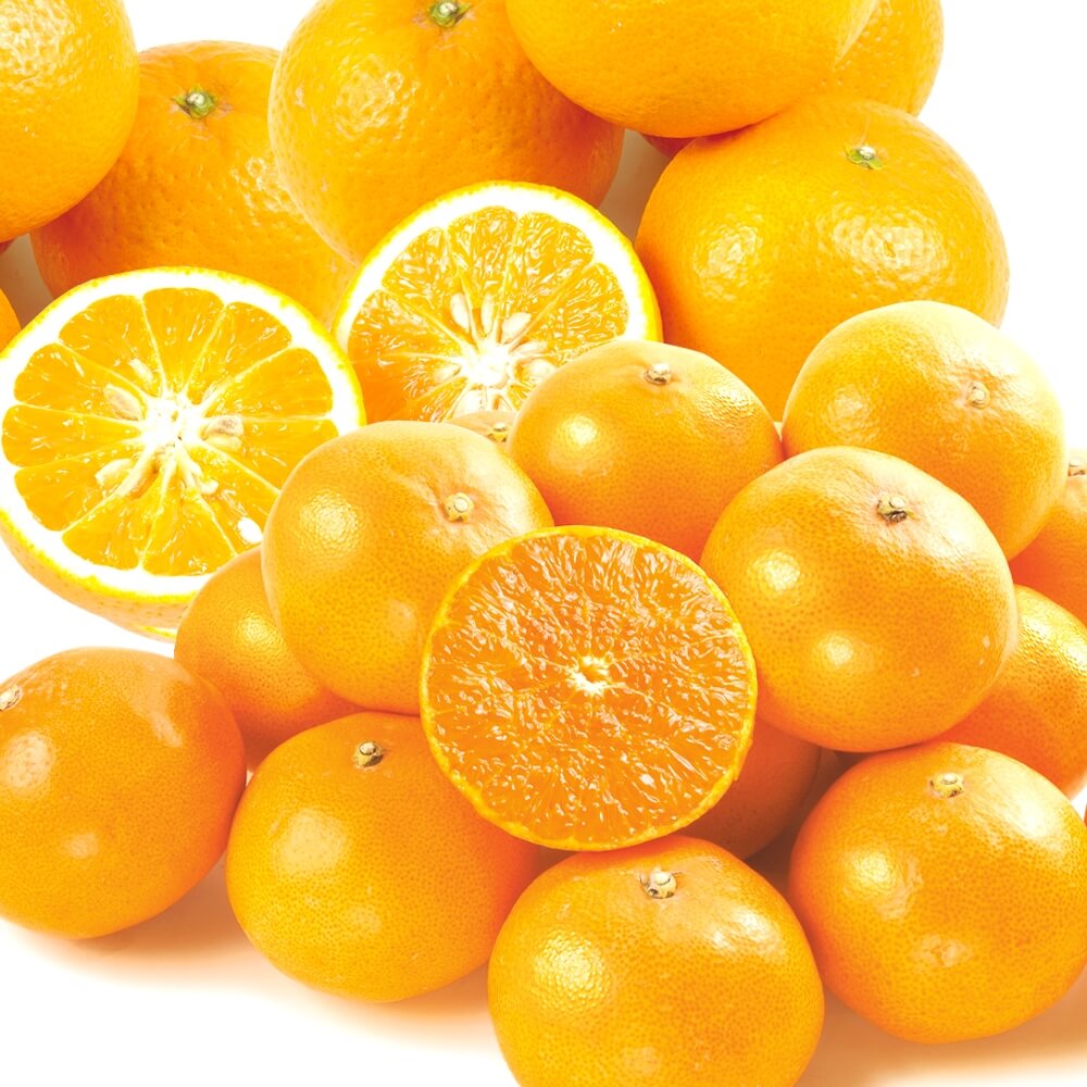 みかん 10kg せとか＆清見セット (各5kg) 柑橘セット 送料無料 食品