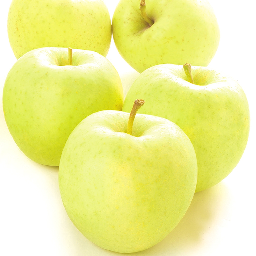 りんご 10kg 星の金貨 青森産 送料無料 食品