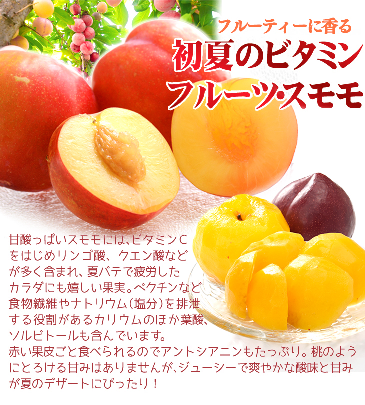 新鮮 プラム 多数 すもも　2キロ 国華園オンラインショップ / もも 2kg 品種おまかせプラム 青森産