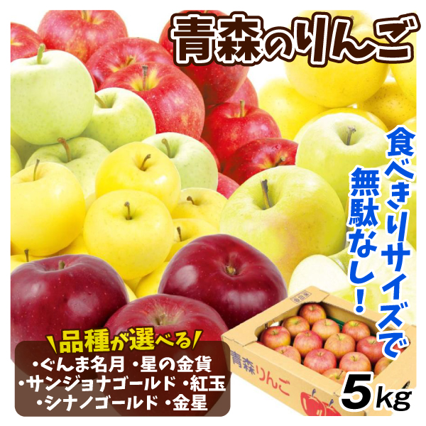 りんご 【品種が選べる】 青森りんご 5kg ぐんま名月 シナノゴールド サンジョナゴールド 星の金貨 紅玉 金星 お手頃サイズ 送料無料 食品