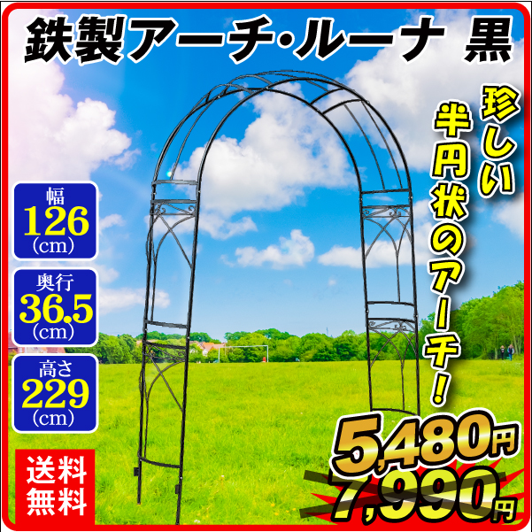 鉄製アーチ・ルーナ黒　１個 アーチ ガーデンアーチ ローズアーチ バラアーチ アイアンガーデニング 庭 玄関 門 フラワー つるバラ 薔薇