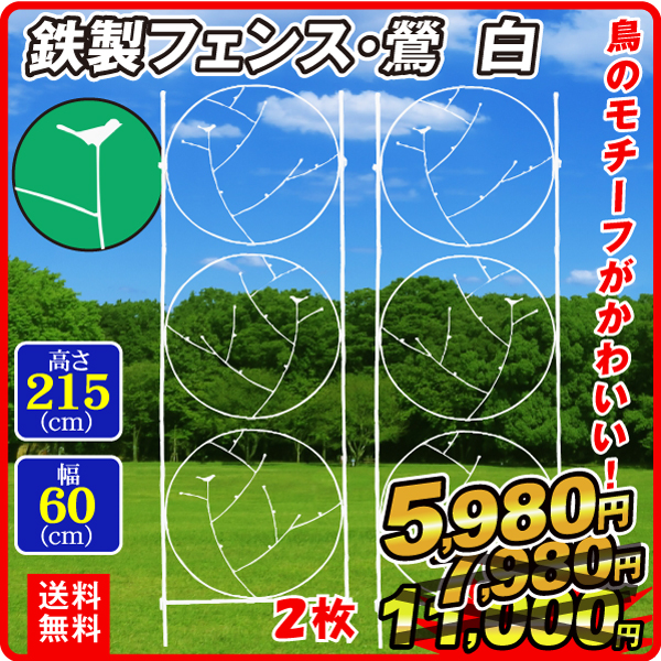 鉄製フェンス・鶯　白　2枚組 フェンス ガーデンフェンス ローズフェンス  ガーデニング アイアン 柵 仕切り 庭 公園 花壇 フラワー つるバラ 薔薇