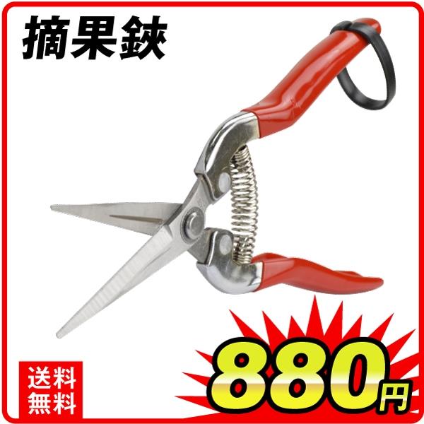 摘果鋏　1個