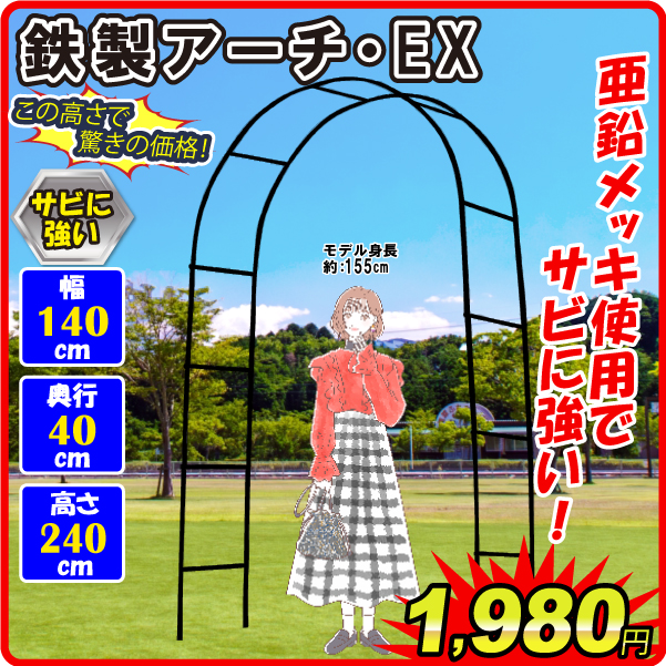 鉄製アーチEX黒　1個 アーチ ガーデンアーチ ローズアーチ バラアーチ アイアン ガーデニング 庭 玄関 門 フラワー つるバラ 薔薇