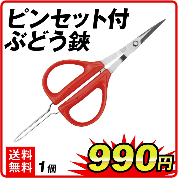 ピンセット付ぶどう鋏　１個